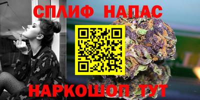 гашик Лесосибирск