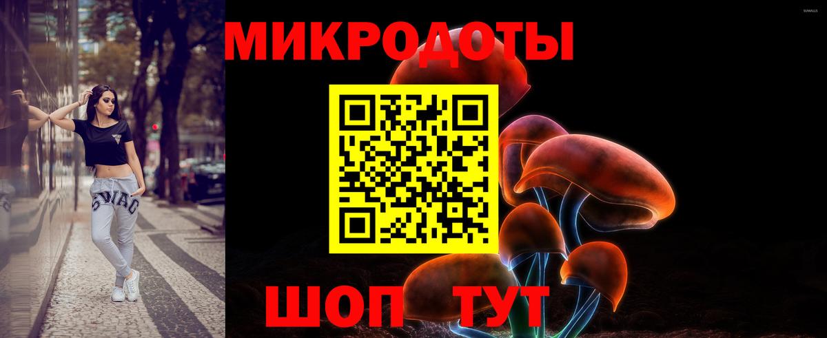 Галлюциногенные грибы MAGIC MUSHROOMS  Вход с VPN  Зима 